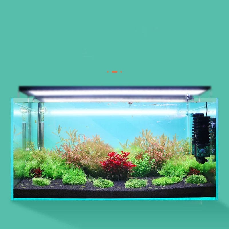 Accessoire d'Aquarium Éponge d'Eau Électrique 1