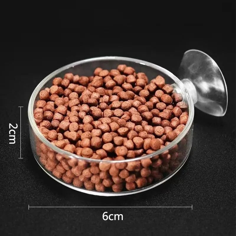 Accessoire d'Aquarium Transparent pour Nourrir Crevettes et Petits Poissons 2