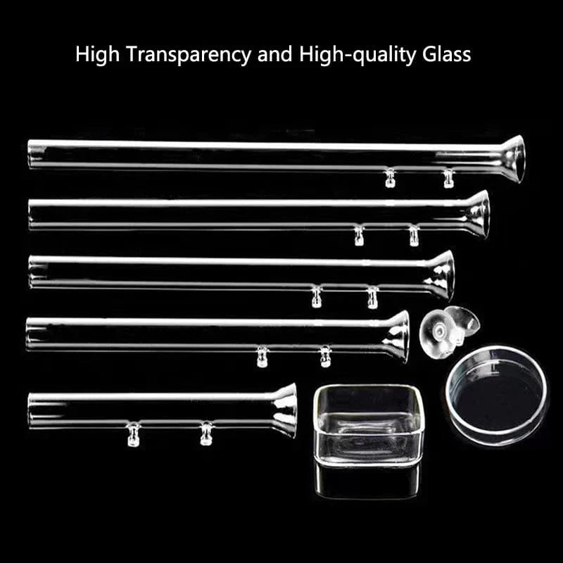 Accessoire d'Aquarium Transparent pour Nourrir Crevettes et Petits Poissons 4