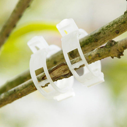Accessoires de Jardinage Stabilisateurs de Tiges 1