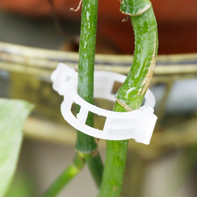 Accessoires de Jardinage Stabilisateurs de Tiges 2