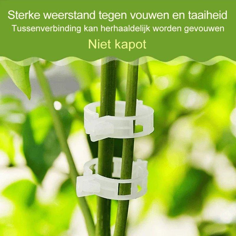 Accessoires de Jardinage Stabilisateurs de Tiges 3
