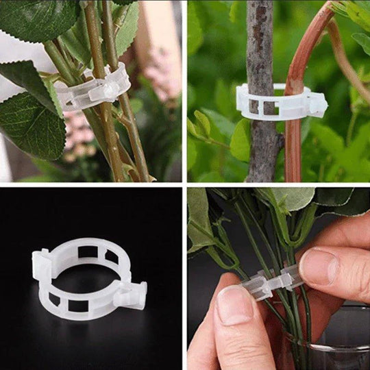 Accessoires de Jardinage Stabilisateurs de Tiges 4