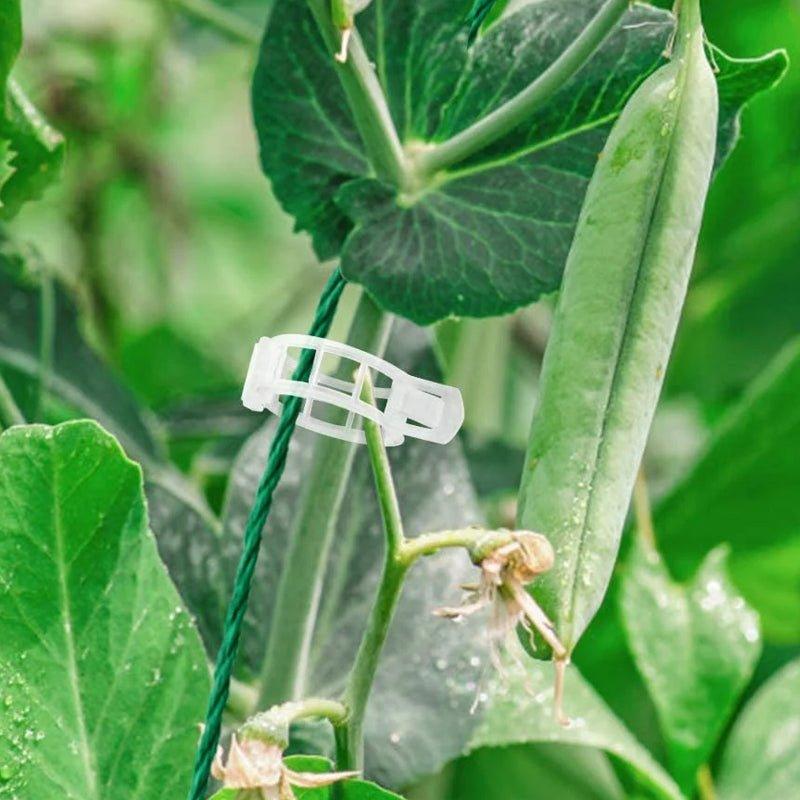 Accessoires de Jardinage Stabilisateurs de Tiges 6