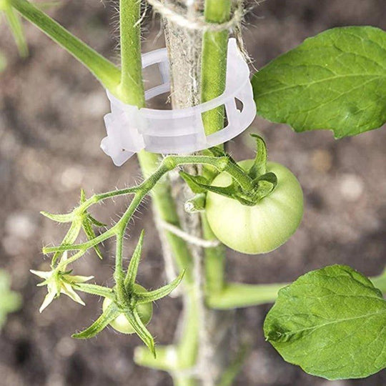 Accessoires de Jardinage Stabilisateurs de Tiges 7