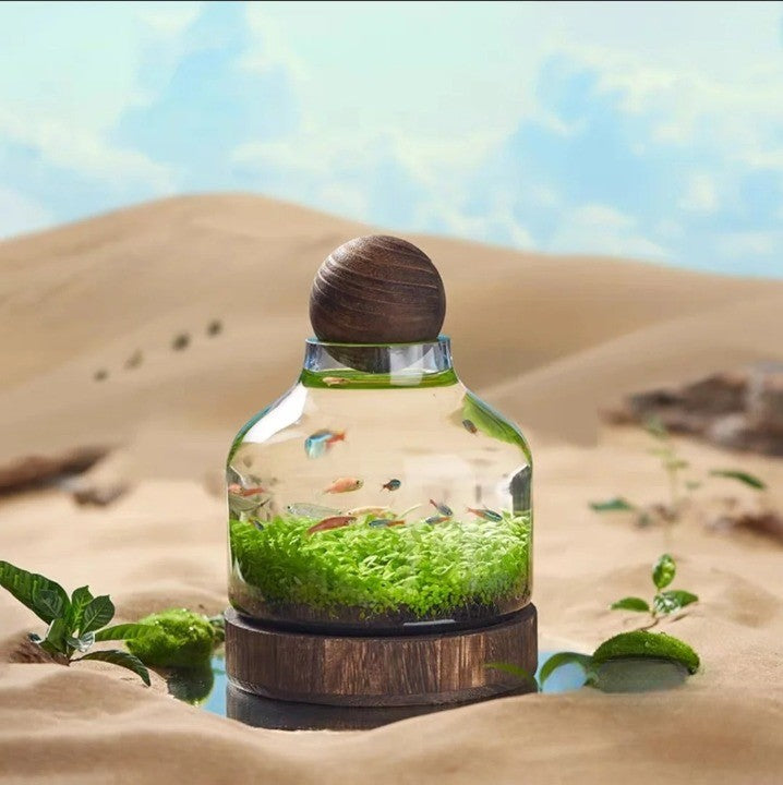 Aquarium Compact en Verre pour Petits Espaces 0