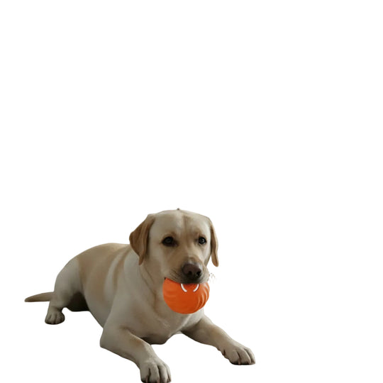 Balle Interactive Chien Automatique Avec Mouvement Pour Amusement Actif 0