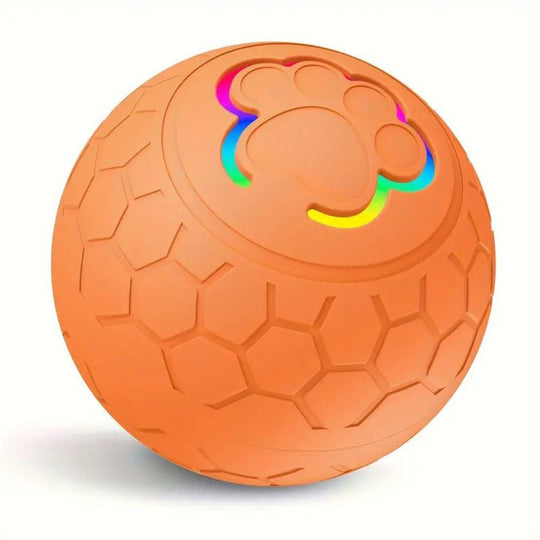 Balle Interactive Chien Durable pour Jeux Intérieurs et Extérieurs 11