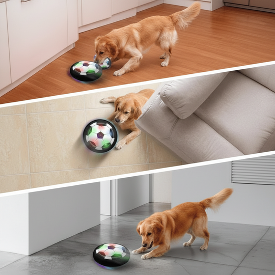 Balle Interactive pour Chiens avec Mouvements Imprévisibles 2