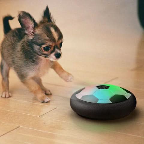 Balle Interactive pour Chiens avec Mouvements Imprévisibles 4