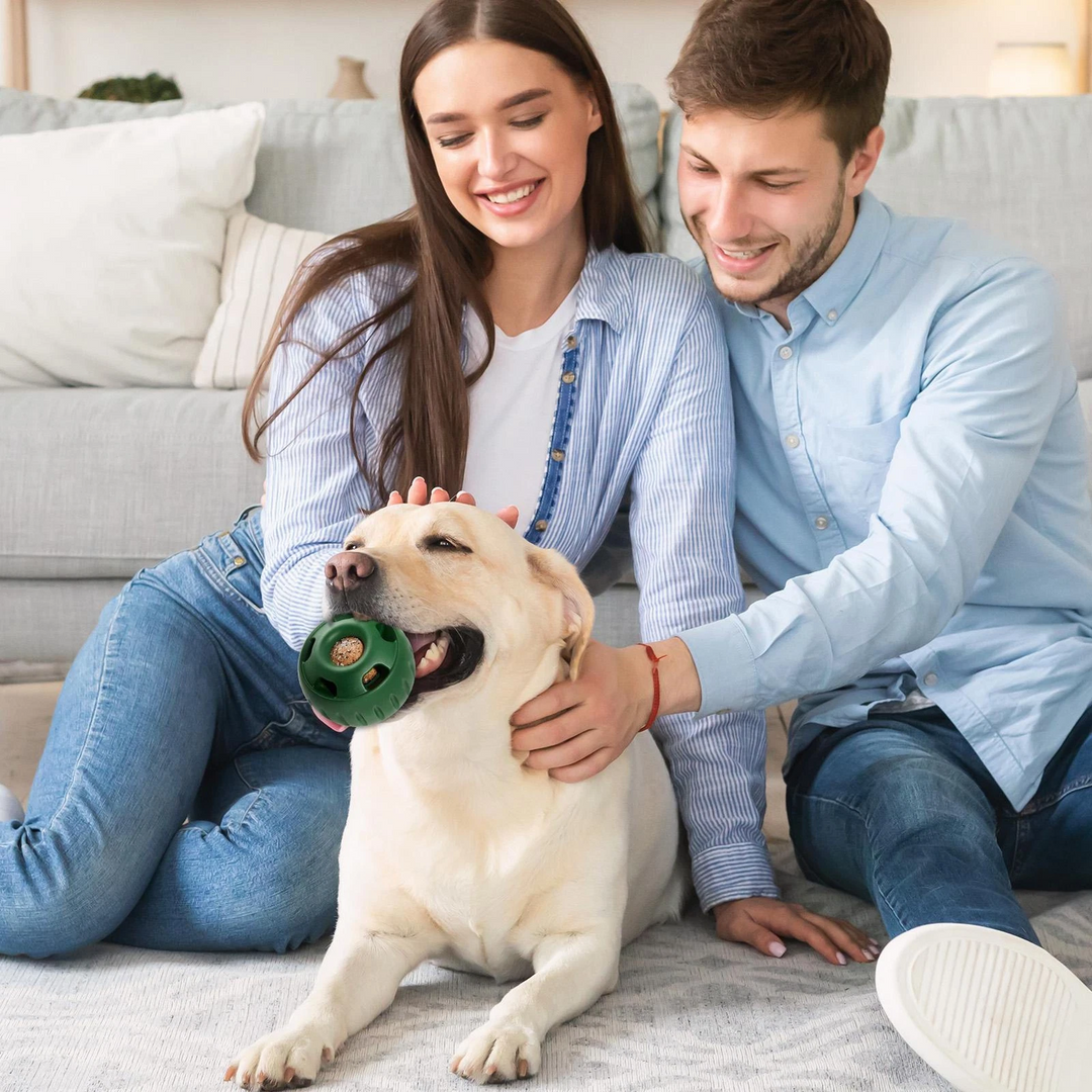 Balle Pour Chien Amusante À Remplir Pour Moments de Jeu 1