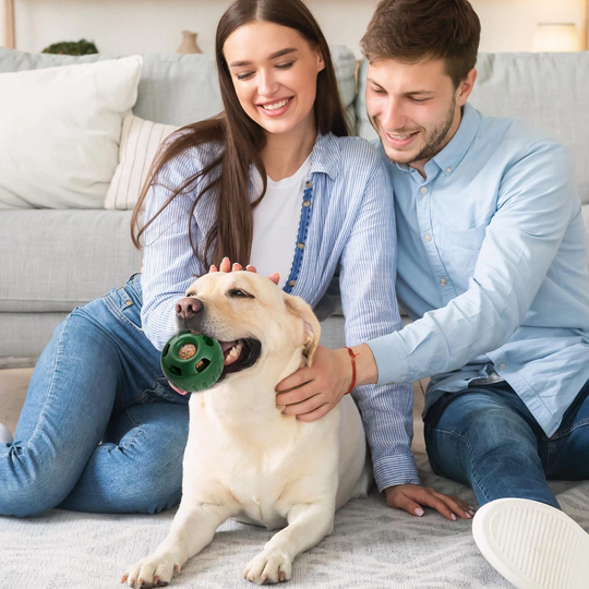 Balle Pour Chien Amusante À Remplir Pour Moments de Jeu 1