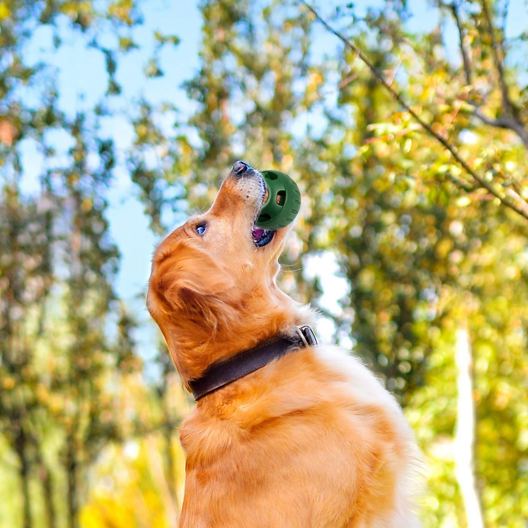 Balle Pour Chien Amusante À Remplir Pour Moments de Jeu 2