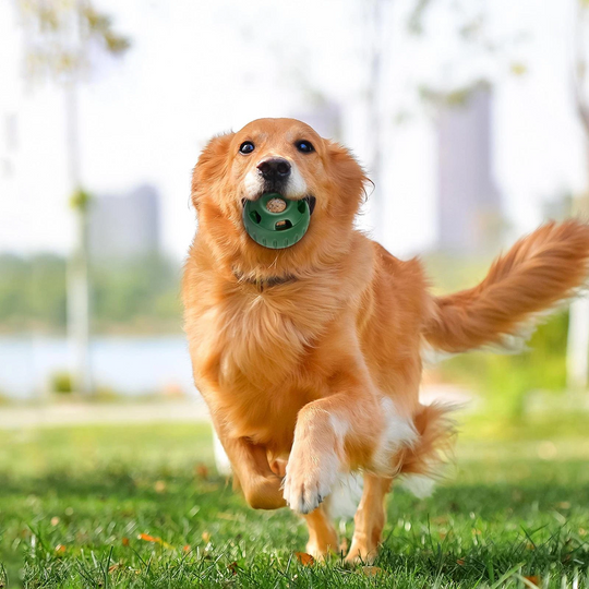 Balle Pour Chien Amusante À Remplir Pour Moments de Jeu 3
