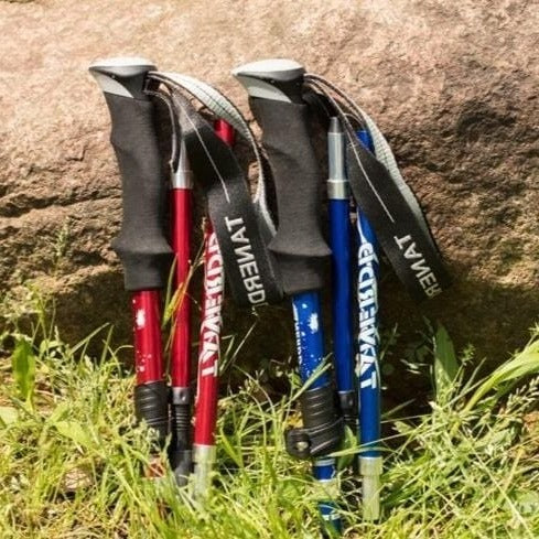 Bâtons de Randonnée Réglables Télescopiques pour Hommes et Femmes 3