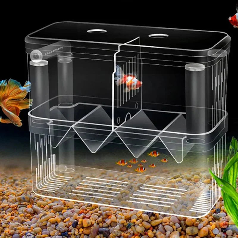 Boîte d'Élevage pour Poissons avec Isolation Transparente 0