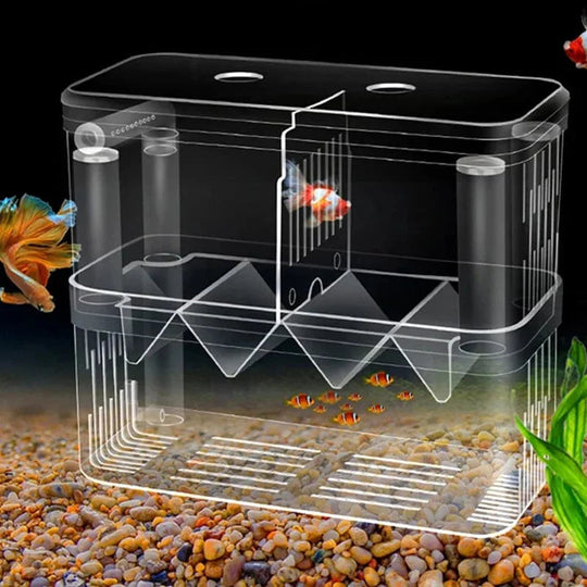 Boîte d'Élevage pour Poissons avec Isolation Transparente 0