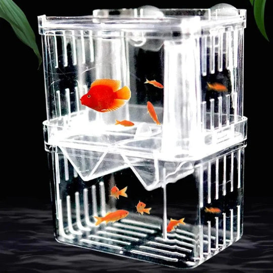 Boîte d'Élevage pour Poissons avec Isolation Transparente 1