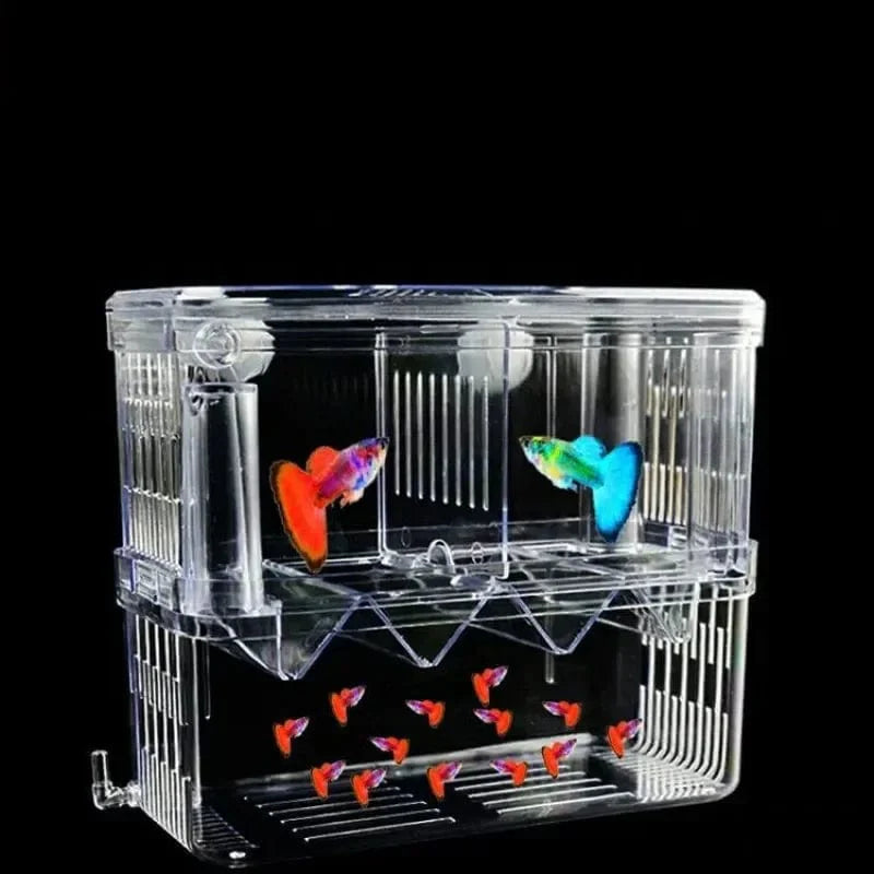 Boîte d'Élevage pour Poissons avec Isolation Transparente 2