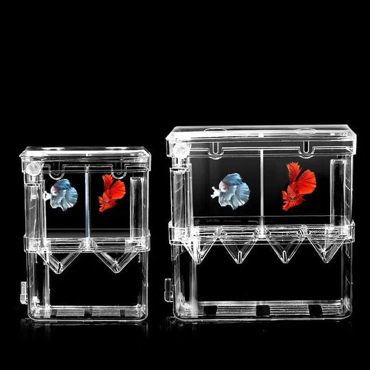 Boîte d'Élevage pour Poissons avec Isolation Transparente 3