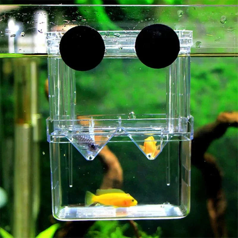 Boîte d'Élevage pour Poissons avec Isolation Transparente 4