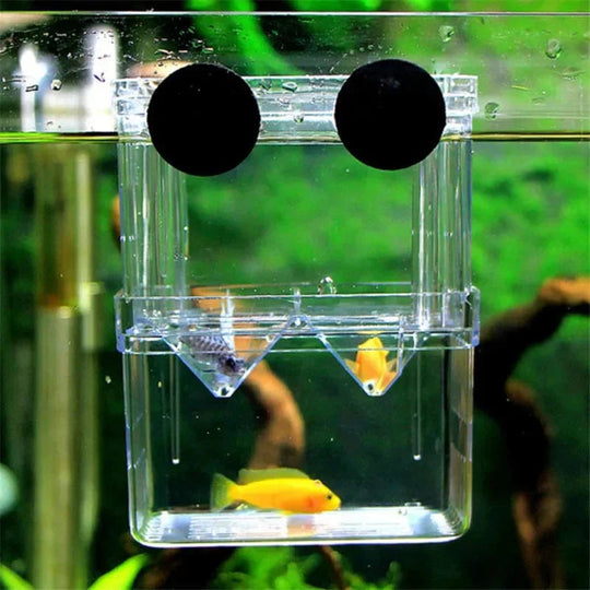 Boîte d'Élevage pour Poissons avec Isolation Transparente 4