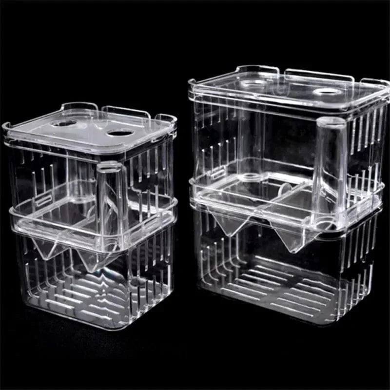 Boîte d'Élevage pour Poissons avec Isolation Transparente 5