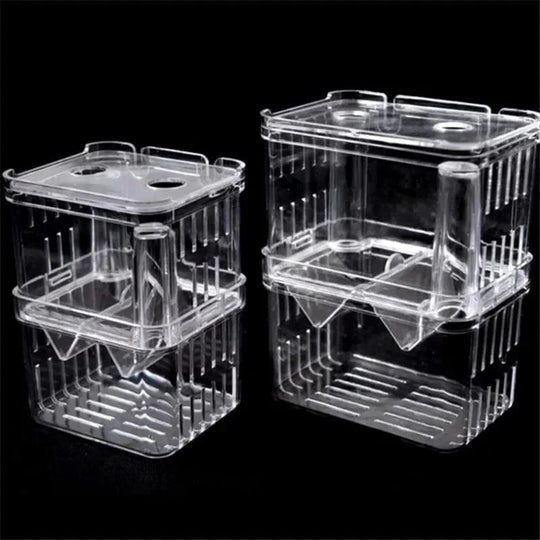 Boîte d'Élevage pour Poissons avec Isolation Transparente 5