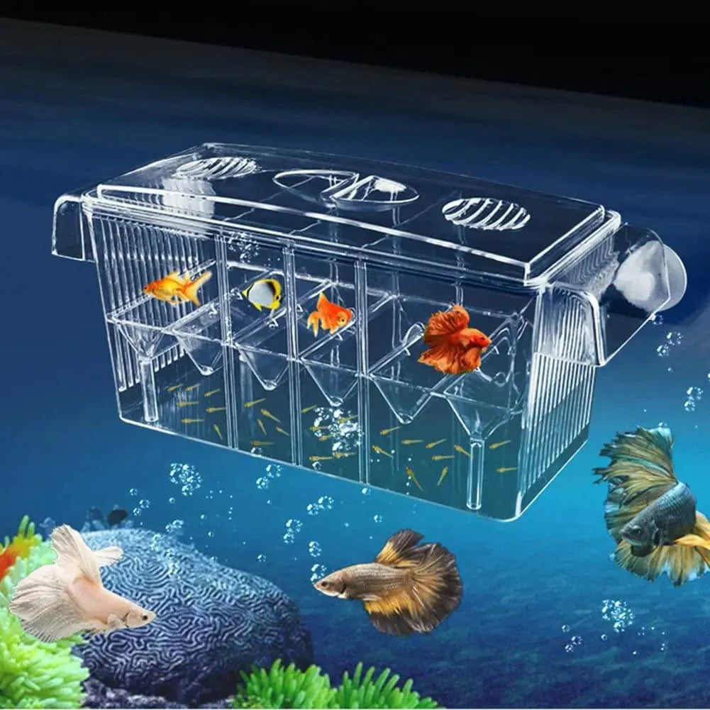 Boîte d'écloserie d'aquarium Double Couche avec Compartiments 0