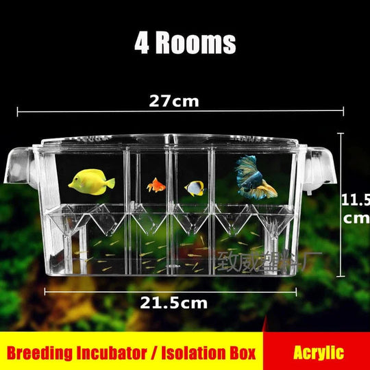 Boîte d'écloserie d'aquarium Double Couche avec Compartiments 1