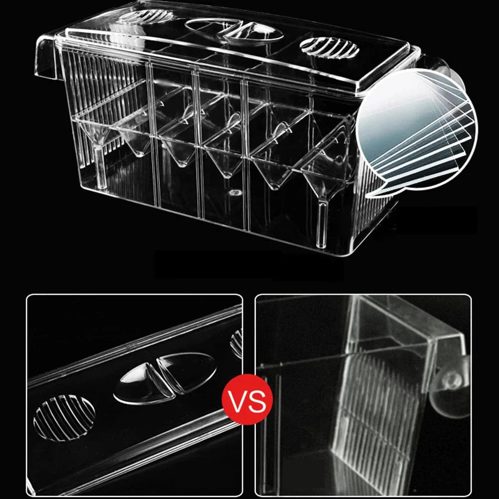 Boîte d'écloserie d'aquarium Double Couche avec Compartiments 4