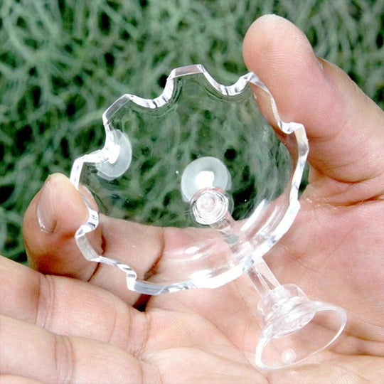 Bol d'alimentation pour crevettes en acrylique 2
