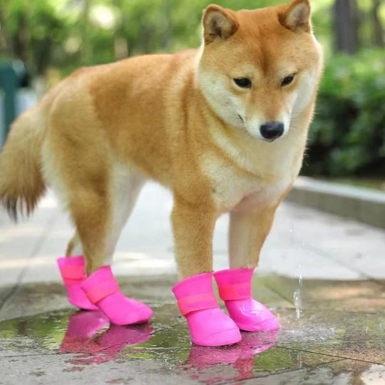 Bottes Pour Chien Imperméables Antidérapantes Ajustables 1