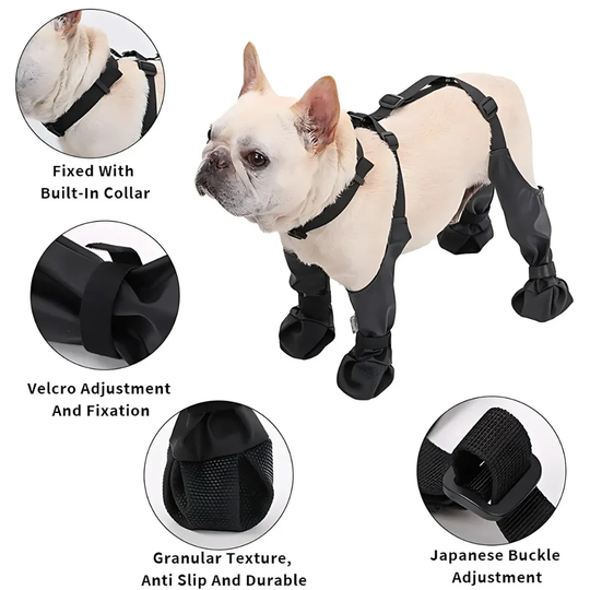 Bottes à Bretelles pour Chien avec Semelle Antidérapante 2