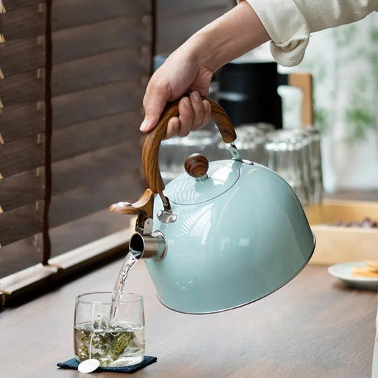Bouilloire Électrique Réglable Design Élégant 2,5L 3L 4