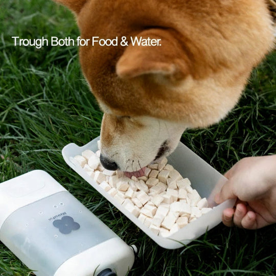 Bouteille d'eau portable pour chiens et chats 2