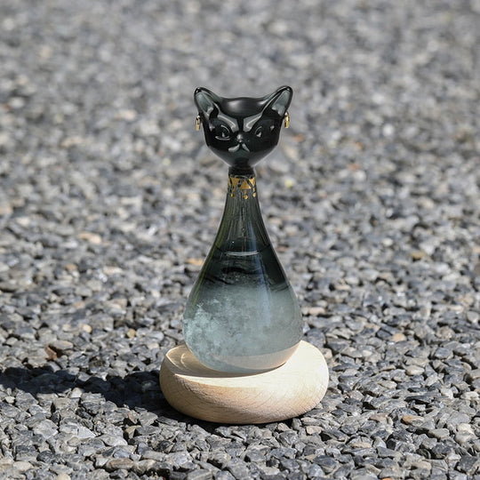 Bouteille de Prévisions Météo Objet Décoratif Inspiré des Chats 1