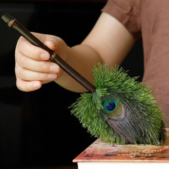 Brosse à Poussière Antistatique en Plumes 1