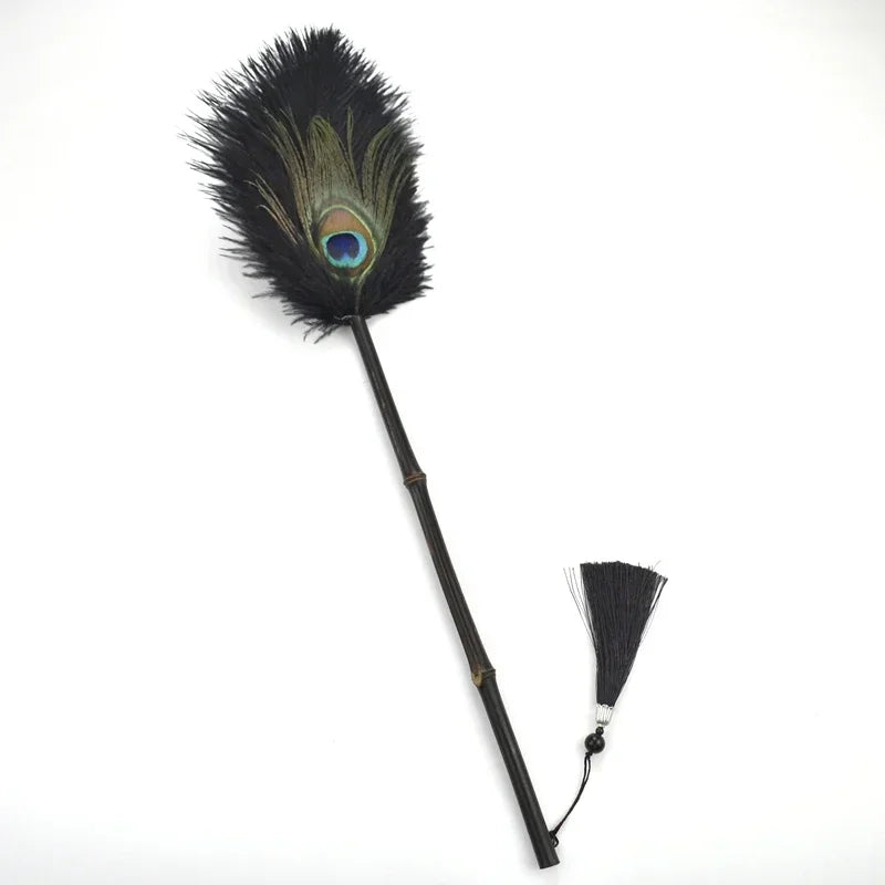 Brosse à Poussière Antistatique en Plumes 10