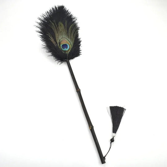Brosse à Poussière Antistatique en Plumes 10