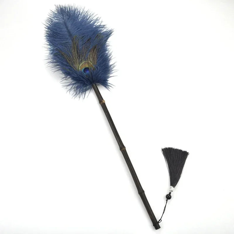 Brosse à Poussière Antistatique en Plumes 11