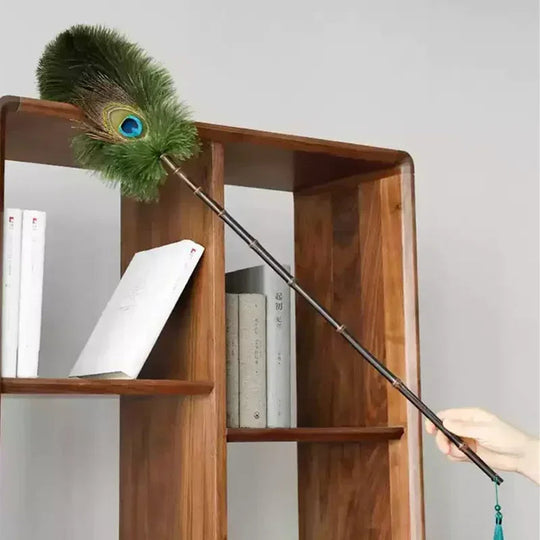 Brosse à Poussière Antistatique en Plumes 2