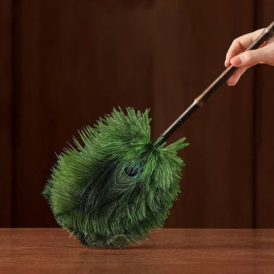 Brosse à Poussière Antistatique en Plumes 3