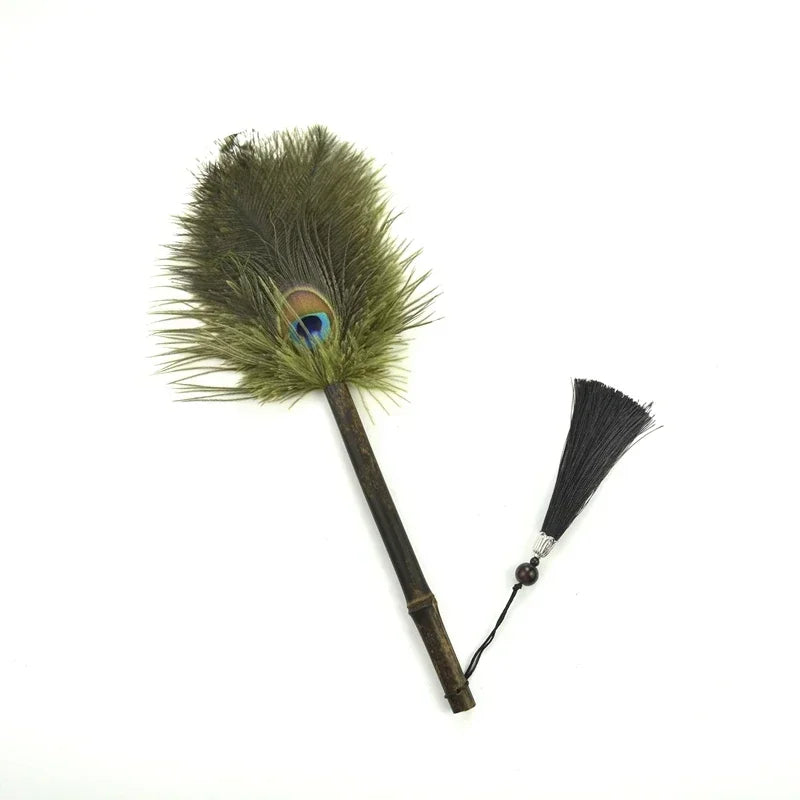 Brosse à Poussière Antistatique en Plumes 4