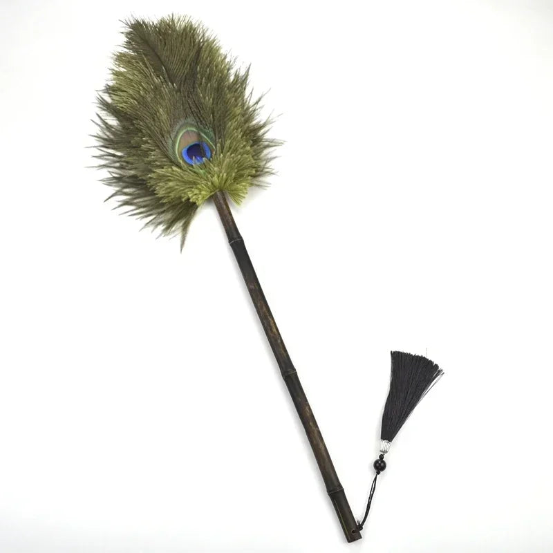 Brosse à Poussière Antistatique en Plumes 5