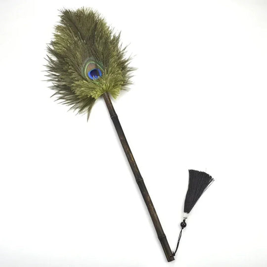 Brosse à Poussière Antistatique en Plumes 5