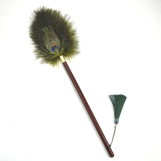Brosse à Poussière Antistatique en Plumes 6
