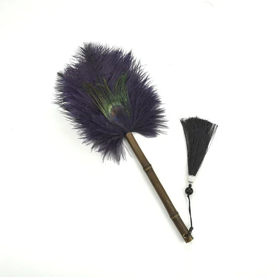 Brosse à Poussière Antistatique en Plumes 7