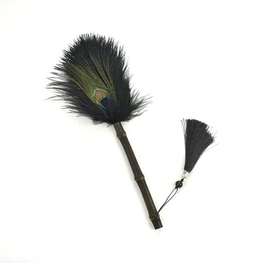 Brosse à Poussière Antistatique en Plumes 8