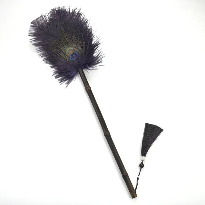 Brosse à Poussière Antistatique en Plumes 9